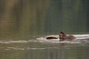 World Wetlands Day