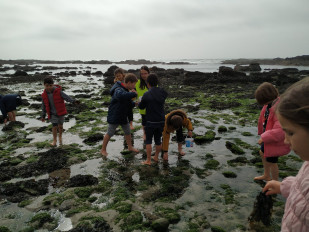 European Sea Day in Viana do Castelo